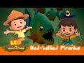 Red-Bellied Piranha | Is That a Water Monster?? | Leo the Wildlife Ranger | Animation for Kids