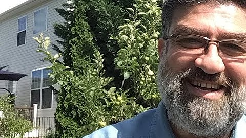 القارئ أحمد الزَّارِع | ما تيسر من سورة النمل