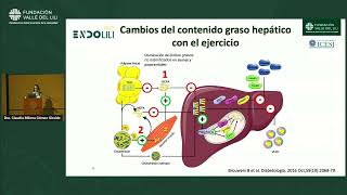 Endolili 2023 | Cambios de la respuesta inflamatoria hepática con el ejercicio - Dra. Claudia Gómez