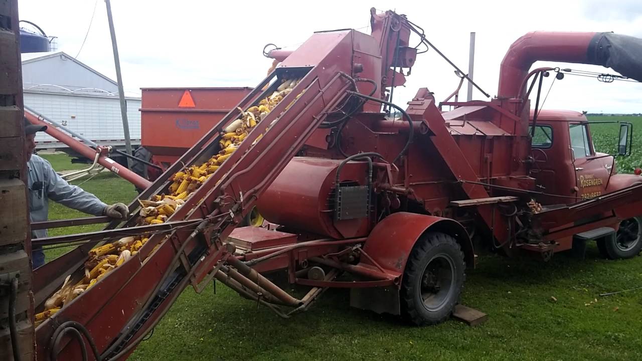 Shelling Corn #2016 - YouTube