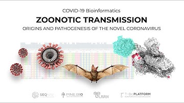 COVID-19: Viral Genomes and Zoonotic Spillover