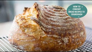 How to Make any Bread Recipe into a Sourdough Recipe