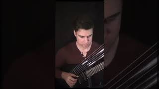 Careless Whisper on Harp Guitar 🎸 #harpguitar