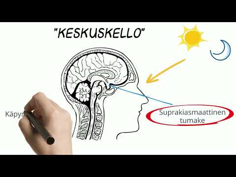 Video: Tiesitkö vuorokausirytmin?