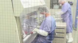 Count the Cells, Cord Blood Stem Cell Expansion Part 2 of 3