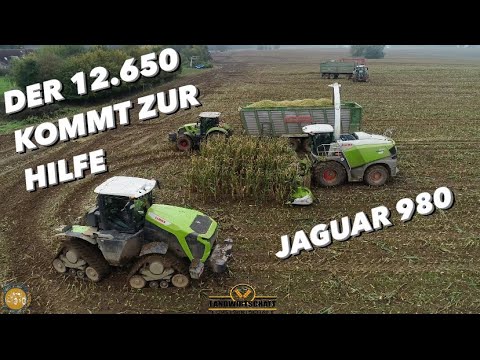 Maishäckseln Lohnunternehmen der Landwirtschaft Biogasanlage Farming corn harvest Traktor Maisernte