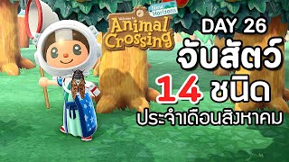 Animal Crossing : Day 26 - จับสัตว์ 14 ชนิด ประจำเดือนสิงหาคม