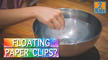Watch Paper Clips Float with This Simple Trick! #STEM #stemeducationforkids #surfacetension