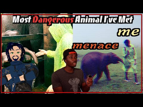 No Baby Elephants For Christmas | Dako Reacts to Casual Geographic