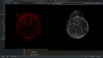 Multiple Window 3D  Synchronize  2 #entangled