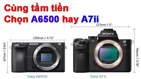 So sánh sony a7 với a6000 năm 2024