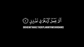 سورة الفيل الشيخ ياسر الدوسري 🌺🍀شاشه سوداء قران كريم كرومات شاشه سوداء