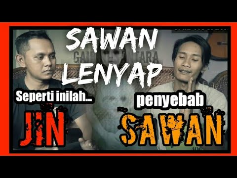 Video: Cara Cepat Menghilangkan Sawan