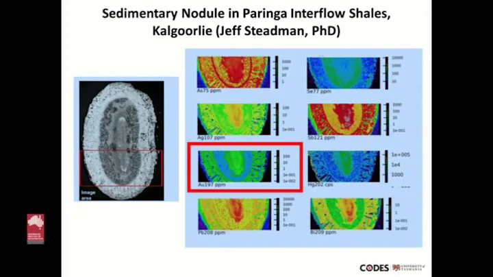 Advances and Successes in Using Pyrite Trace Element Geochemistry