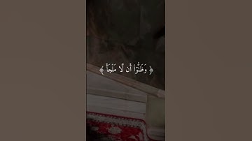 ﴿حَتَّىٰ إِذَا ضَاقَتْ عَلَيْهِمُ الْأَرْضُ بِمَا رَحُبَتْ ﴾#سورة_التوبة #علي_جابر #قران_كريم #قران