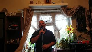 Video thumbnail of "your just to good to be true cover song Andy Williams"