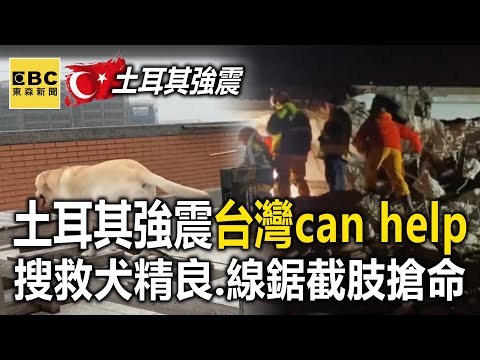 【土耳其強震】台灣can help！「搜救犬訓練精良、線鋸截肢搶命」比美國隊更快！ @ebcCTime
