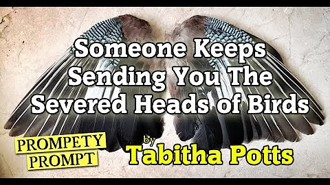 Listener Response: Tabitha Potts - Someone Keeps S...