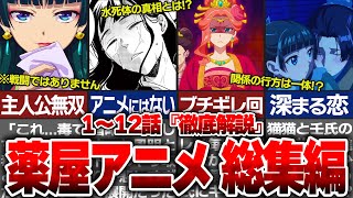 【薬屋のひとりごと】一期1クール目解説総集編！1話〜12話最新話まで徹底解説！！アニメと原作シーンの違いを猫猫と壬氏の変化の行方を含めて解説【ゆっくり解説/考察】