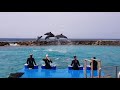 Dolphin Show in Curacao, Caribbean