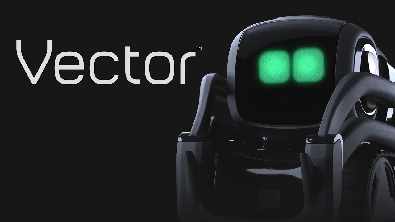 Vector is Cozmo for grownups