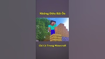 Những Điều Bất Ổn Chỉ Có Ở Game Minecraft 🤣 #shorts
