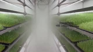 Seedafarm Hydroponic Container Fodder Plant Factory | 7 Days Harvest, Livestock Feed Revolution