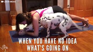 Dog Yoga: Pup Is Really Happy To Be In His Mom's Yoga Workout | The Dodo