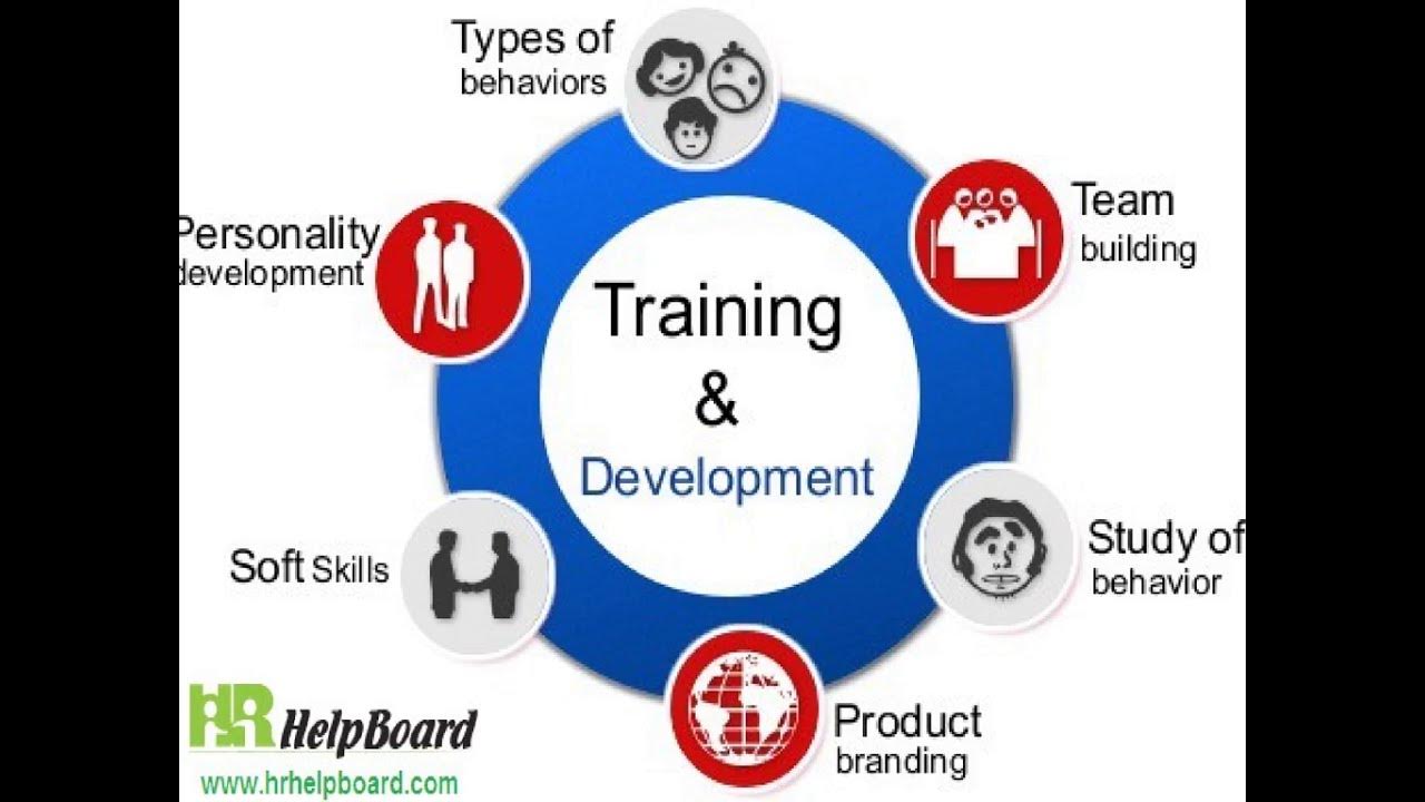 Training and Development. Soft-skills медицинского работника. Types of behaviour. Training and Development 6c. Training development