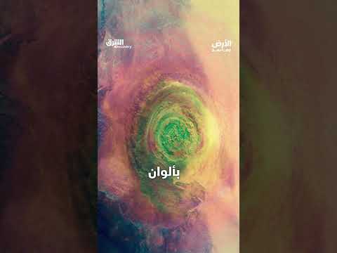أكبر الكنوز تحتها