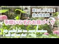 【ガーデニング】草むしり不要！水はけのよい/手間いらずのお庭/雑草対策/真夏のナチュラルガーデン/８月の庭作業/ガーデニングvlog/暮らしのvlog/ハナノカオリ/hananokaori