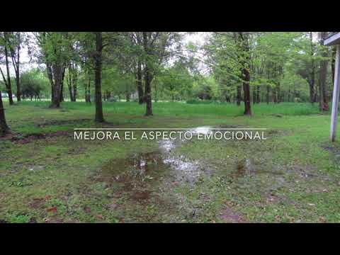 Beneficios de conectar a los ninos con la naturaleza