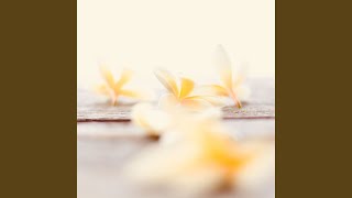 Simplistic Moods for Rejuvenating Experiences