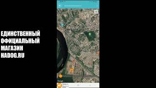 Hadog Обзорная Инструкция по настройке приложения для подключения GPS-трекера (ошейника) screenshot 1