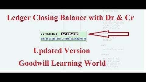 Tally TDL for Ledger Balance with Cr or Dr Symbol   Tally Add on for Ledger Closing Balance