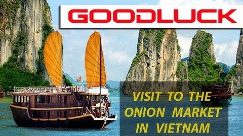 Indian onion importer in Vietnam Market - Visit of Fruits and Vegetables Market in Vietnam