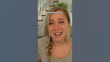 Not All Cat Litters Are Created Equal...