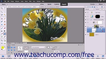 Photoshop Elements 15 Tutorial Duplicating Layers Adobe Training