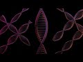 Endless DNA | Fantasy Illusion!