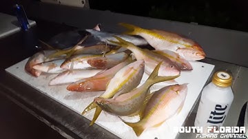 Catch n Cook FLAG Yellowtail - Fishing in Key Largo