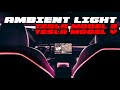 AMBIENT LIGHT im TESLA MODEL 3 REFRESH (2021) - Anleitung - How To Do - Einbau | EFIEBER