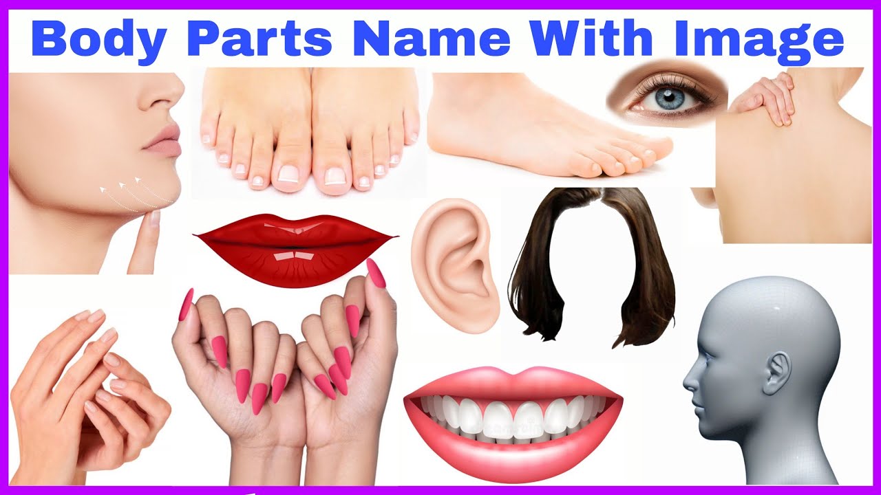 body-parts-name-with-image