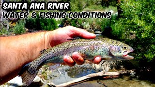Trout Fishing & Water Conditions | Santa Ana River | San Bernardino Mountains