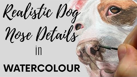 How to Paint Realistic Dog Nose Details in Watercolour (Easy Tips and Tricks)
