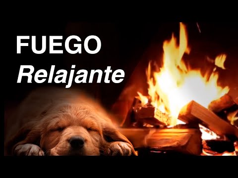 Video: Montaje De Espuma Resistente Al Fuego: Productos No Combustibles Contra Incendios Para La Chimenea, Espuma Termoexpansible Resistente Al Fuego