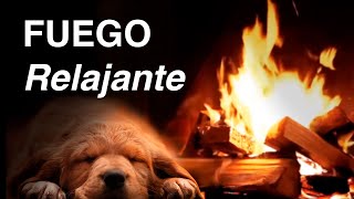 12 Horas de Sonido de Fuego 🔥 Relajante en Chimenea