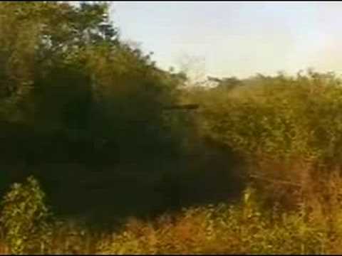 sri lankan army wakare fight