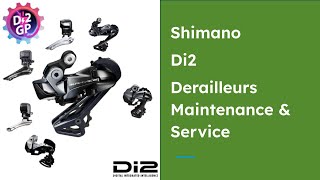 How to maintain, clean and look after your Di2