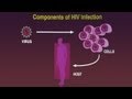 HIV: A Primer