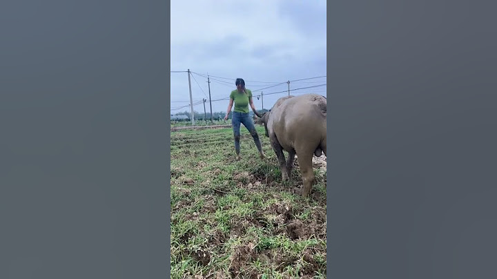 如果你不小心刷到我，請留下來翻翻我的作品吧，也許能治癒你煩躁的心情！ - 天天要聞